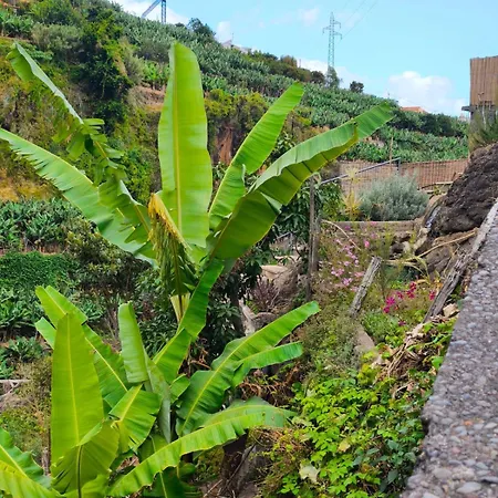 Διαμέρισμα Cascata Da Giesta House