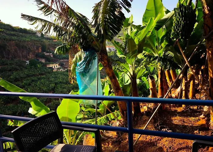 Cascata Da Giesta House * Câmara de Lobos